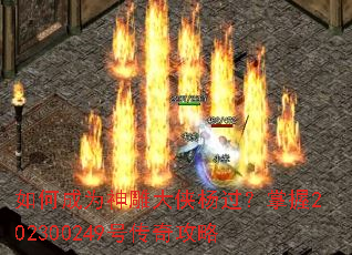 ��γ�Ϊ���������������202300249�Ŵ��湥��