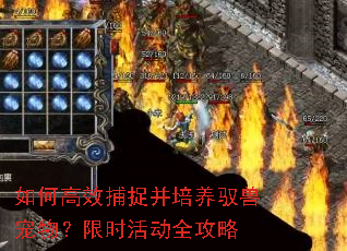 ��θ�Ч��׽������Ԧ�޳����ʱ�ȫ����