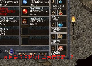 ��μ�Ԧ�񽢴�����Ϊ���������