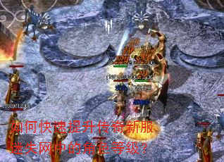 ��ο������������·���ʧ���еĽ�ɫ�ȼ���