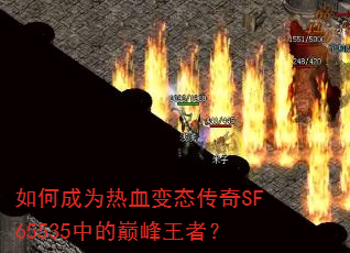 ��γ�Ϊ��Ѫ��̬����SF65535�е��۷����ߣ�