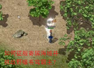 如何征服寄居海域并挑战野嚎苍穹霸主? 如何征服寄居海域并挑战野嚎苍穹霸主?