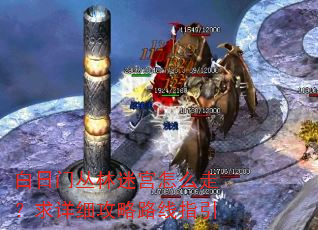 白日门丛林迷宫怎么走?求详细攻略路线指引 白日门丛林迷宫怎么走?求详细攻略路线指引