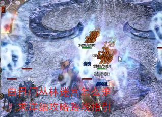 白日门丛林迷宫怎么走?求详细攻略路线指引 白日门丛林迷宫怎么走?求详细攻略路线指引
