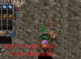 白日门丛林迷宫怎么走?求详细攻略路线指引 白日门丛林迷宫怎么走?求详细攻略路线指引