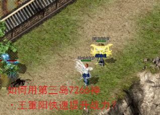 如何用第三岛7266神·王重阳快速提升战力? 如何用第三岛7266神·王重阳快速提升战力?