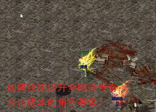 如何快速提升全网通传奇合击版本的角色等级? 如何快速提升全网通传奇合击版本的角色等级?
