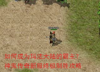 如何成为玛法大陆的霸主?神鬼传奇新服终极制胜攻略 如何成为玛法大陆的霸主?神鬼传奇新服终极制胜攻略