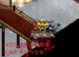 如何快速提升神雕迷失角色等级与装备? 如何快速提升神雕迷失角色等级与装备?