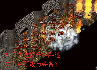 如何快速提升神雕迷失角色等级与装备? 如何快速提升神雕迷失角色等级与装备?