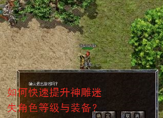 如何快速提升神雕迷失角色等级与装备? 如何快速提升神雕迷失角色等级与装备?