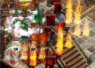 如何快速提升冰雪合击传奇手游角色等级? 如何快速提升冰雪合击传奇手游角色等级?