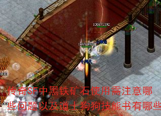 传奇SF中黑铁矿石使用需注意哪些问题以及道士狗狗技能书有哪些 传奇SF中黑铁矿石使用需注意哪些问题以及道士狗狗技能书有哪些