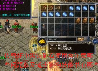 传奇SF中黑铁矿石使用需注意哪些问题以及道士狗狗技能书有哪些 传奇SF中黑铁矿石使用需注意哪些问题以及道士狗狗技能书有哪些