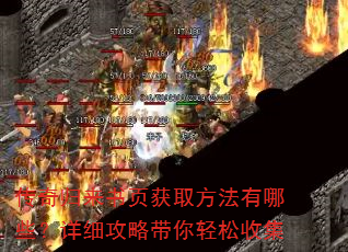 传奇归来书页获取方法有哪些?详细攻略带你轻松收集 传奇归来书页获取方法有哪些?详细攻略带你轻松收集