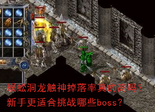 蜈蚣洞龙触神掉落率真的高吗?新手更适合挑战哪些boss? 蜈蚣洞龙触神掉落率真的高吗?新手更适合挑战哪些boss?