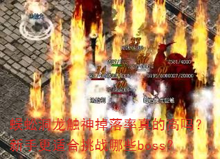 蜈蚣洞龙触神掉落率真的高吗?新手更适合挑战哪些boss? 蜈蚣洞龙触神掉落率真的高吗?新手更适合挑战哪些boss?