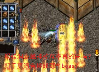 蜈蚣洞龙触神掉落率真的高吗?新手更适合挑战哪些boss? 蜈蚣洞龙触神掉落率真的高吗?新手更适合挑战哪些boss?