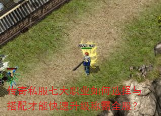 传奇私服七大职业如何选择与搭配才能快速升级称霸全服? 传奇私服七大职业如何选择与搭配才能快速升级称霸全服?