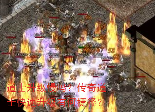 道士升级慢吗?传奇道士快速升级有何捷径? 道士升级慢吗?传奇道士快速升级有何捷径?