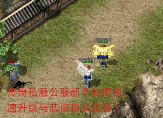 传奇私服公服新手如何快速升级与获取极品装备? 传奇私服公服新手如何快速升级与获取极品装备?