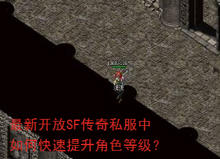 最新开放SF传奇私服中如何快速提升角色等级? 最新开放SF传奇私服中如何快速提升角色等级?