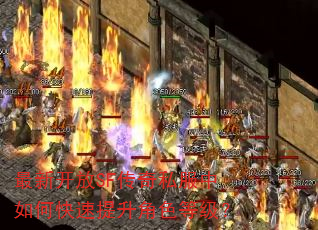 最新开放SF传奇私服中如何快速提升角色等级? 最新开放SF传奇私服中如何快速提升角色等级?