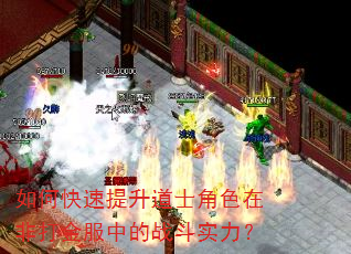 如何快速提升道士角色在非打金服中的战斗实力? 如何快速提升道士角色在非打金服中的战斗实力?