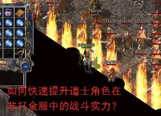 如何快速提升道士角色在非打金服中的战斗实力? 如何快速提升道士角色在非打金服中的战斗实力?