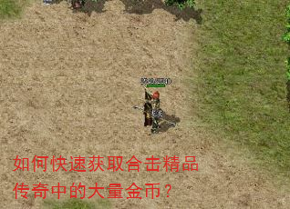 如何快速获取合击精品传奇中的大量金币? 如何快速获取合击精品传奇中的大量金币?