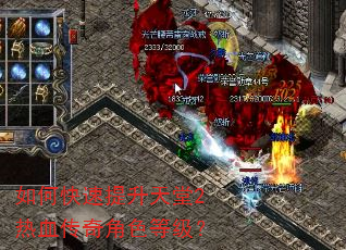 如何快速提升天堂2热血传奇角色等级? 如何快速提升天堂2热血传奇角色等级?
