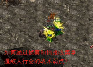如何通过侦察和情报收集掌握敌人行会的战术弱点? 如何通过侦察和情报收集掌握敌人行会的战术弱点?