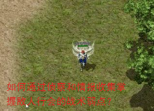 如何通过侦察和情报收集掌握敌人行会的战术弱点? 如何通过侦察和情报收集掌握敌人行会的战术弱点?