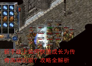 新手战士如何快速成长为传奇高端玩家?攻略全解析 新手战士如何快速成长为传奇高端玩家?攻略全解析