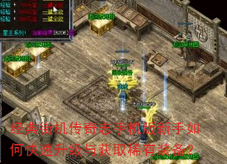 经典街机传奇志手机版新手如何快速升级与获取稀有装备? 经典街机传奇志手机版新手如何快速升级与获取稀有装备?