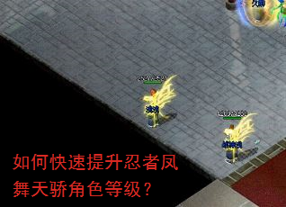 如何快速提升忍者凤舞天骄角色等级? 如何快速提升忍者凤舞天骄角色等级?