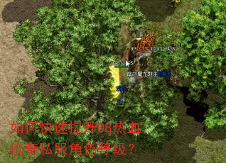如何快速提升08热血传奇私服角色等级? 如何快速提升08热血传奇私服角色等级?