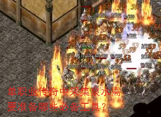 单职业传奇中采集泉水需要准备哪些必备工具? 单职业传奇中采集泉水需要准备哪些必备工具?