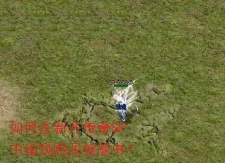 如何在新开传奇SF中省钱购买技能书? 如何在新开传奇SF中省钱购买技能书?