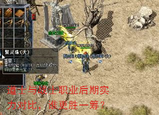 道士与战士职业后期实力对比,谁更胜一筹? 道士与战士职业后期实力对比,谁更胜一筹?
