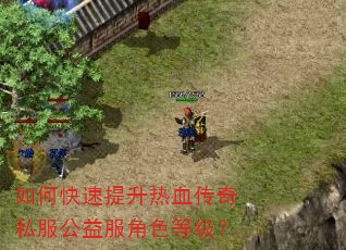 如何快速提升热血传奇私服公益服角色等级? 如何快速提升热血传奇私服公益服角色等级?