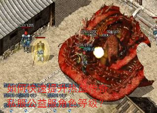 如何快速提升热血传奇私服公益服角色等级? 如何快速提升热血传奇私服公益服角色等级?