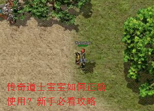 传奇道士宝宝如何正确使用?新手必看攻略 传奇道士宝宝如何正确使用?新手必看攻略