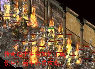 传奇道士宝宝如何正确使用?新手必看攻略 传奇道士宝宝如何正确使用?新手必看攻略