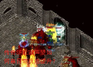 传奇SF玩家声望如何靠日常玩法提升? 传奇SF玩家声望如何靠日常玩法提升?