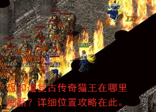 想知道复古传奇猫王在哪里刷新?详细位置攻略在此。 想知道复古传奇猫王在哪里刷新?详细位置攻略在此。