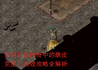 ��δ��촫���еĴ�Ƥ���ǣ���Ч����ȫ����