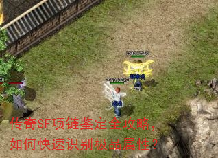 传奇SF项链鉴定全攻略,如何快速识别极品属性? 传奇SF项链鉴定全攻略,如何快速识别极品属性?