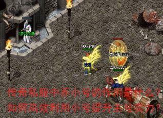 传奇私服中养小号的作用是什么?如何高效利用小号提升主号实力? 传奇私服中养小号的作用是什么?如何高效利用小号提升主号实力?
