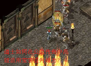 道士如何在公益传奇中高效运用宝宝提升战力? 道士如何在公益传奇中高效运用宝宝提升战力?